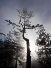 0 TB 34.webp 0 TB 34.webp