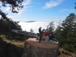 0 TB 35.webp 0 TB 35.webp