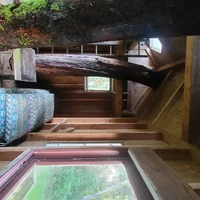 20260209_152044.webp 20260209_152044.webp