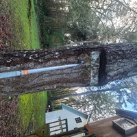 20260209_152720.webp 20260209_152720.webp