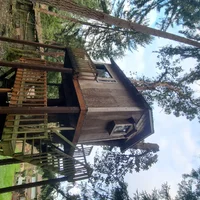 20260212_163539.webp 20260212_163539.webp