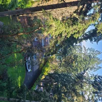 20260212_131215.webp 20260212_131215.webp