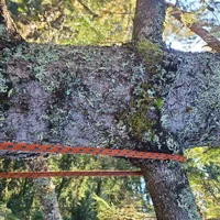 20260212_124141.webp 20260212_124141.webp