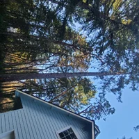 20260212_144519.webp 20260212_144519.webp