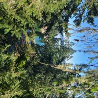 20260212_124133.webp 20260212_124133.webp