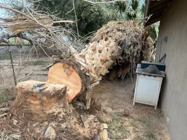 IMG_3336.webp IMG_3336.webp