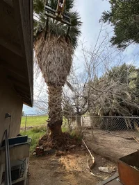 IMG_3333.webp IMG_3333.webp