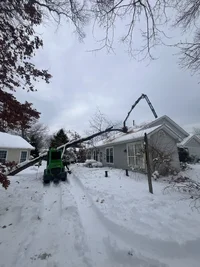 IMG_0005.webp IMG_0005.webp