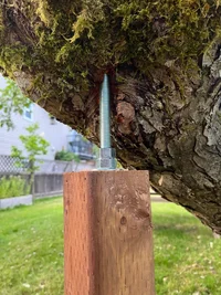 WhatsApp Image 2026-02-02 at 12.58.22 PM (3).webp