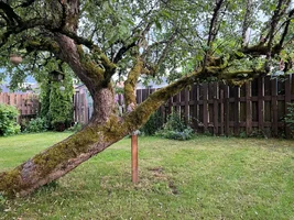 WhatsApp Image 2026-02-02 at 12.58.22 PM.webp