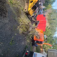 20260404_170950.webp 20260404_170950.webp