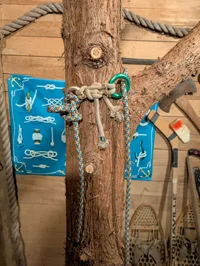 8265.webp