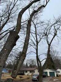 1778205352123.webp