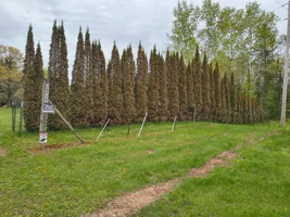IMG_20260522_154115941_HDR.webp