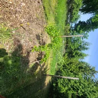 20260524_111848.webp