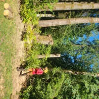 20260616_161908.webp