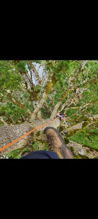 Screenshot_20260626_080602_Gallery.webp