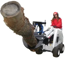 BMGRamaman06sm.webp