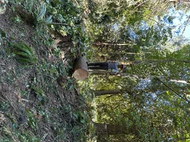 IMG_1851.webp