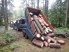 00 dump trailer 02.webp 00 dump trailer 02.webp
