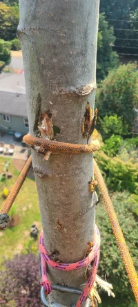 1000019067.webp