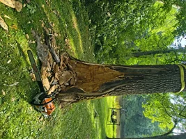 IMG_20260819_163526964_HDR.webp