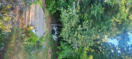 20260917_091159.webp