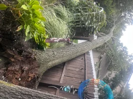IMG_4765.webp