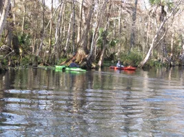 Silver Springs Florida 12-16-2014 029.webp Silver Springs Florida 12-16-2014 029.webp