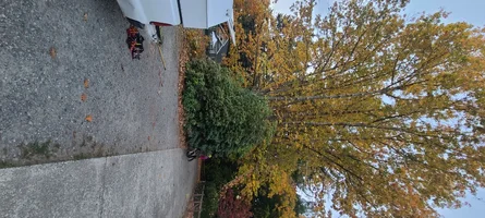 20261016_181003.webp 20261016_181003.webp