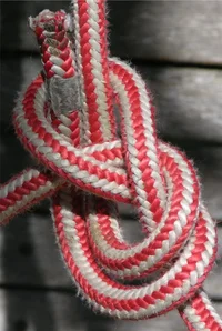 107319-Copyofyoseimitebowline2.webp