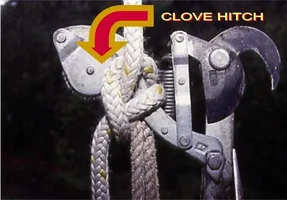 109527-CLOVEHITCHTOPOLEPRUNER.webp