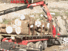 119992-Big-wood-loaded-on-truck.gif