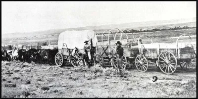 120830-Wagontrainwithoxen.webp