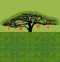 125550-MONKEY-POD-tree-large.webp