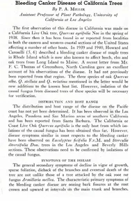128463-1941SanJoseFirstpage.webp