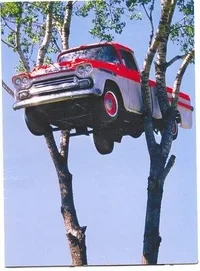 140567-car_in_tree.webp