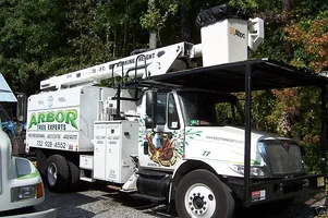 143561-ArborTreeExperts.webp