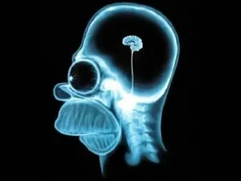 153752-homer-simpson-brain-mri[1].webp