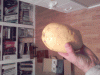 154340-fruit1.gif