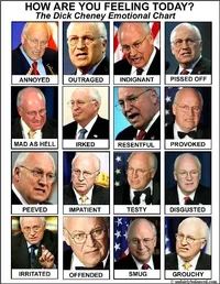 177064-cheney_emotional_chart.webp
