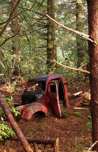 178737-redwood_truck_400.webp