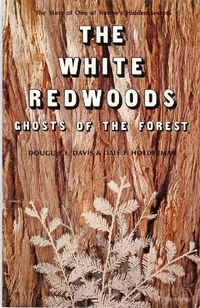 187290-WhiteRedwoodsWeb.webp