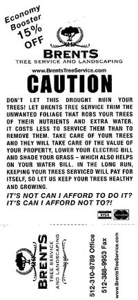 201682-brentstrees[1].webp