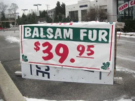 206308-BalsamFur.webp