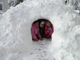 18611-snowfort.webp