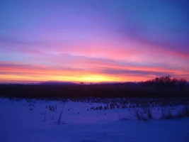 18686-Sunset Jan29Comp.webp