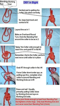 19735-DBY in Bight.webp