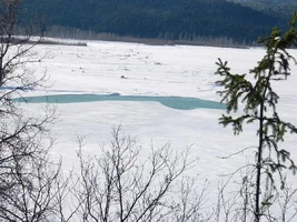19893-Kenai lake weiner.webp