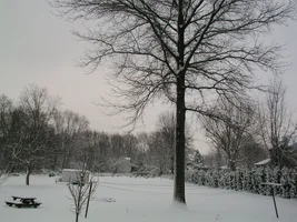 20758-Feb6th2005 014.webp